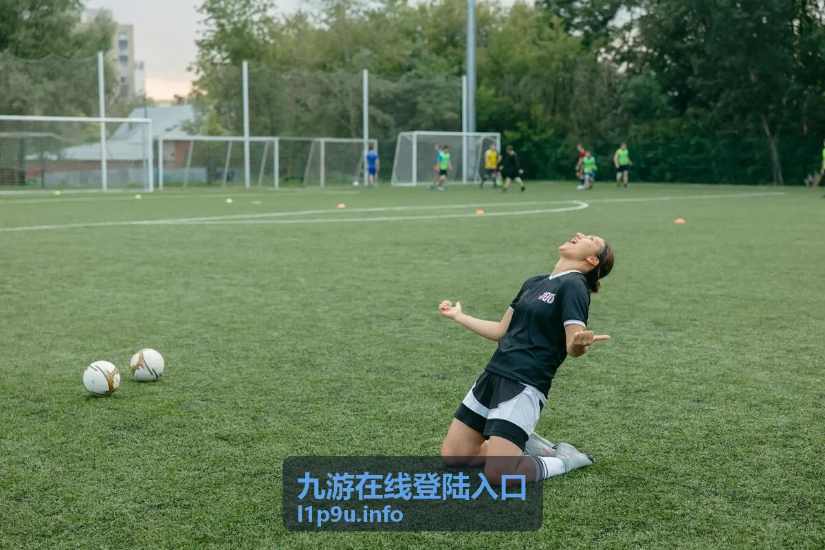 九游在线登陆入口验证码校验界面