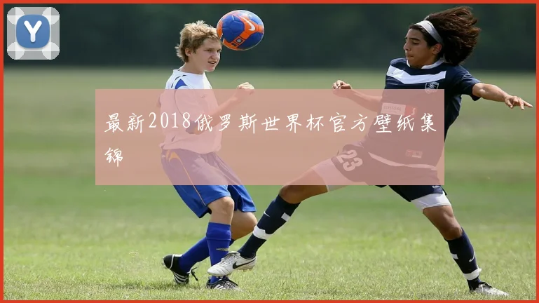 最新2018俄罗斯世界杯官方壁纸集锦