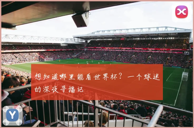 想知道哪里能看世界杯?一个球迷的深夜寻播记
