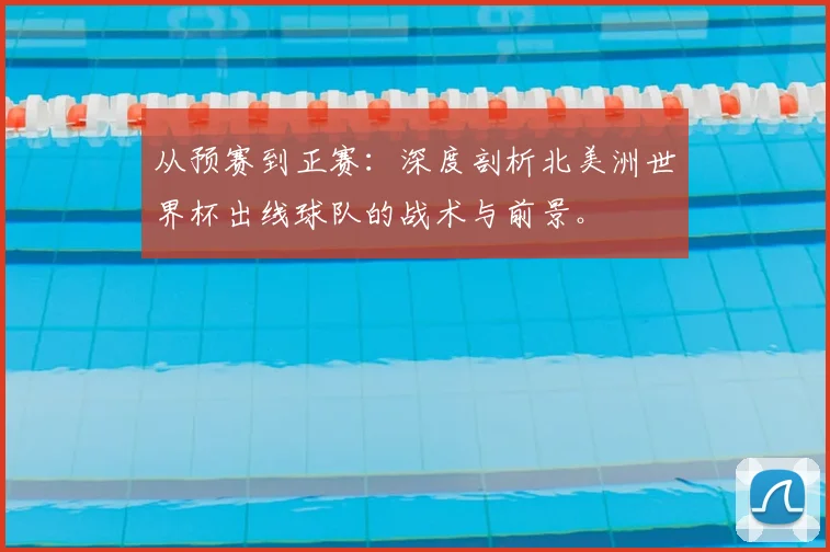 从预赛到正赛：深度剖析北美洲世界杯出线球队的战术与前景。