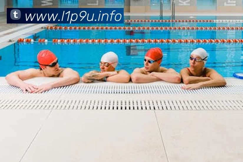 九游官网登录入口平台生态图