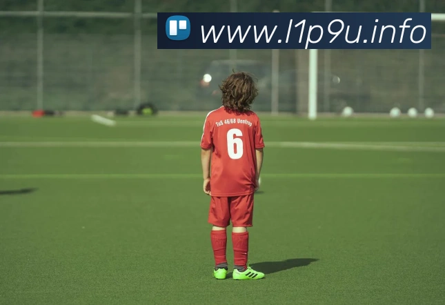 九游官网登录入口APP 封面图